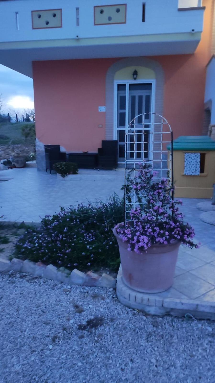 B&B I Tre Ulivi Morro dʼOro Exterior foto